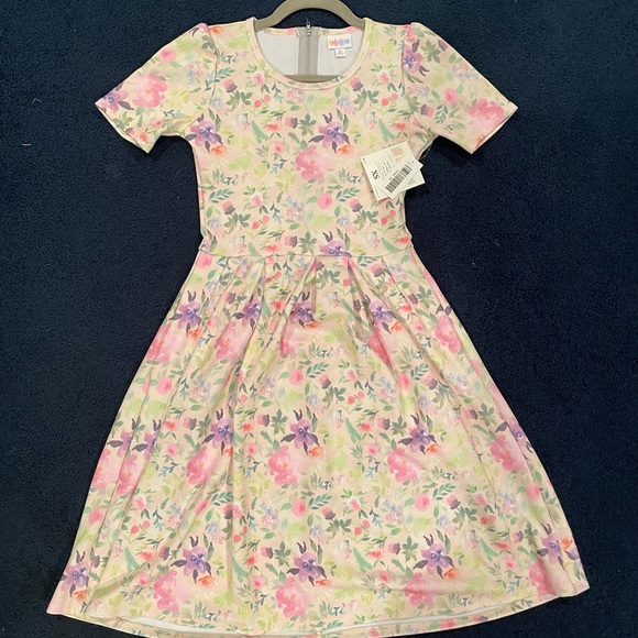 Lot of 8 like new and 1 nwt LULAROE Amelia XS - Picture 3 of 8